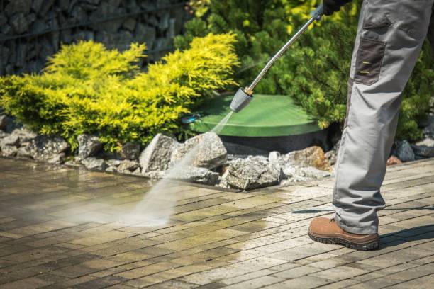 Best Sidewalk and Walkway Cleaning  in Portola, CA